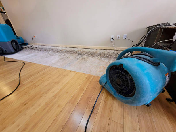 Professional Water Damage Repair technician working in Bradfordwoods, PA